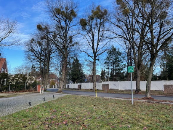 Dahlem Baugrundstück